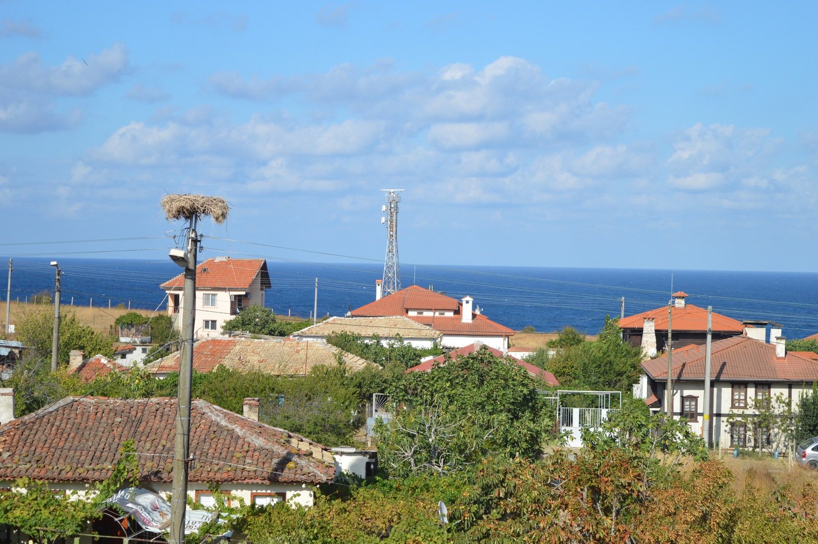 The skyline of the village Free Photo Download | FreeImages